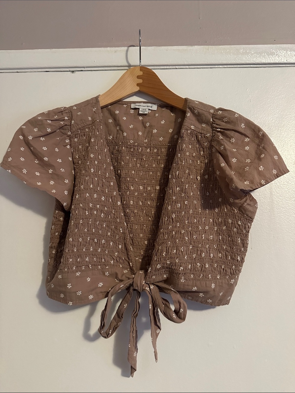 American Eagle Outfitters Mauve-Brown Floral Smocked Tie-Front Crop Top